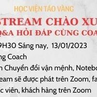 Táo Vàng Holding 9