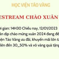 Táo Vàng Holding 8