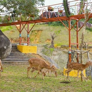 Công Ty Cổ Phần DHC Suối Đôi 2