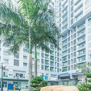 Dịch Vụ Địa Ốc 084 6