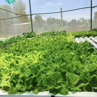 Nguồn Sinh Thái 3