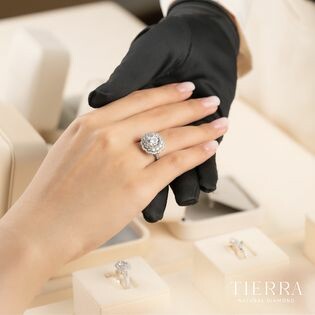 Công Ty Cổ Phần Tierra 2