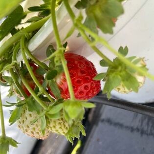 Nguồn Sinh Thái 8