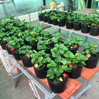 Nguồn Sinh Thái 10