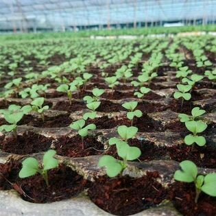 Nguồn Sinh Thái 7