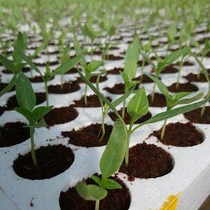 Nguồn Sinh Thái 5