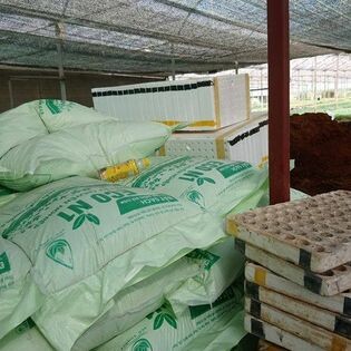 Nguồn Sinh Thái 4