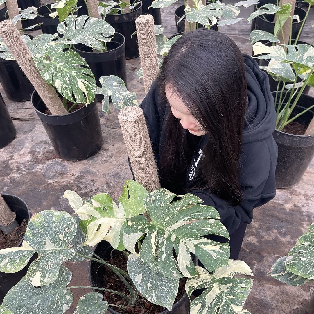 Xanh Xanh Urban Forest 7