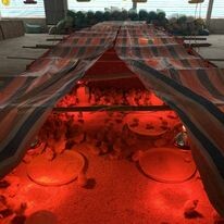 Giống Gia Cầm Lượng Huệ 6