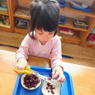 Peace Montessori Pre-school 3