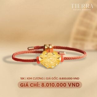 Công Ty Cổ Phần Tierra 9