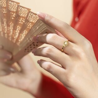 Công Ty Cổ Phần Tierra 5