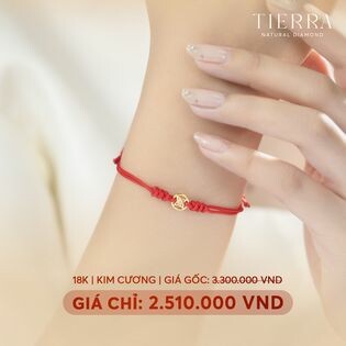 Công Ty Cổ Phần Tierra 7