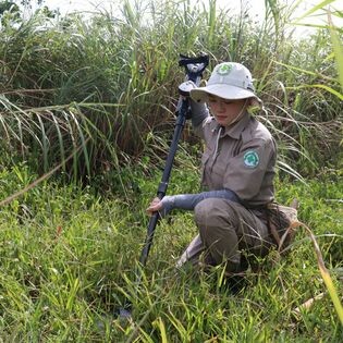 Norwegian People’S Aid (NPA) 5