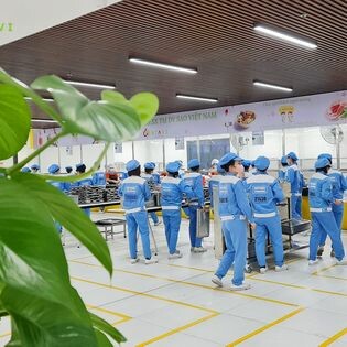 Sản Xuất Thương Mại Dịch Vụ Sao Việt Nam 2