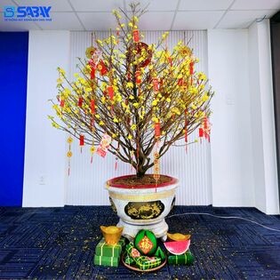 ĐẦU TƯ SABAY HOME 7