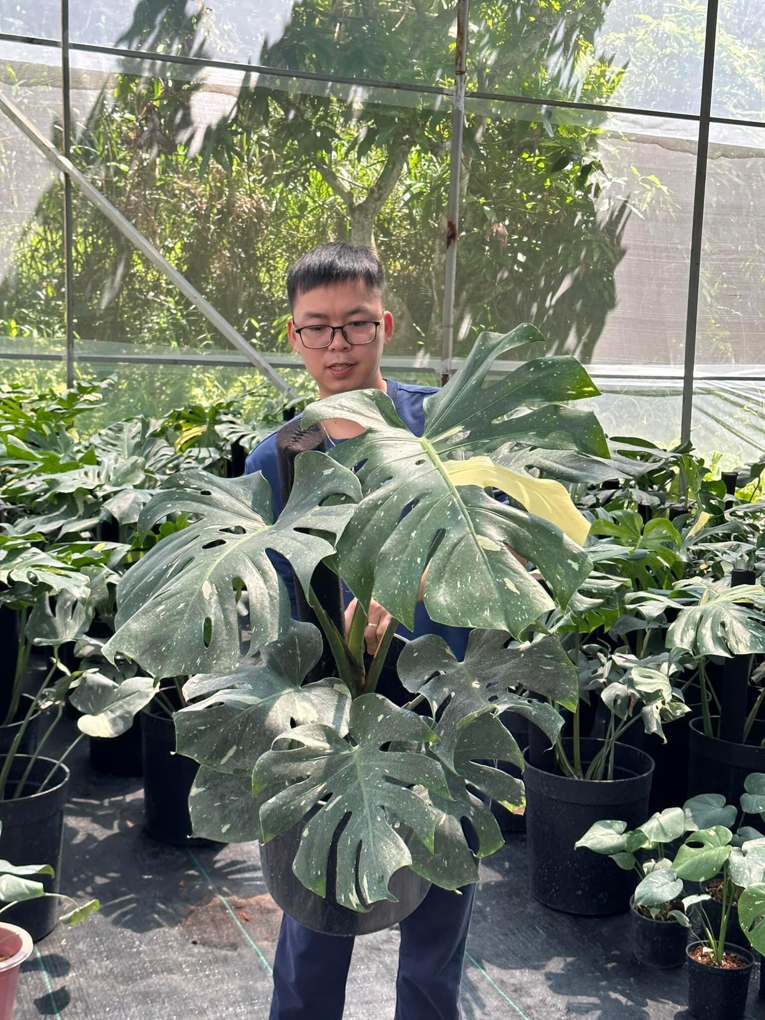 Xanh Xanh Urban Forest 8