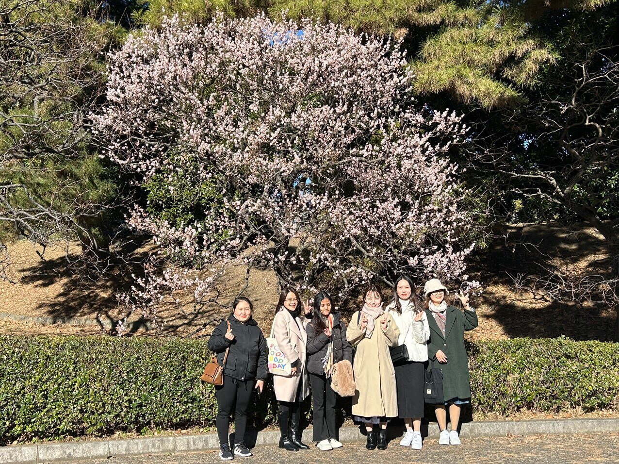 Hinokiya Việt Nam 7