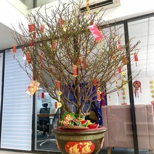 ĐẦU TƯ SABAY HOME 9