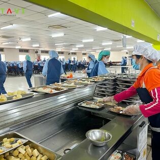 Sản Xuất Thương Mại Dịch Vụ Sao Việt Nam 4