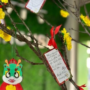 Giáo Dục Stemhouse 5