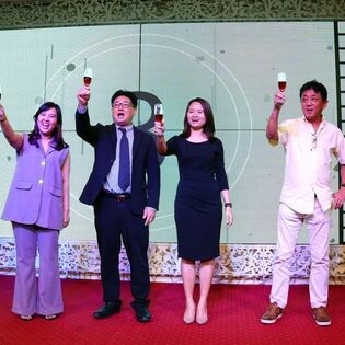 Alitus Link Việt Nam 8