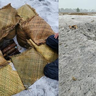 Norwegian People’S Aid (NPA) 6