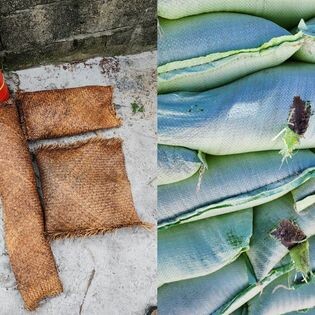 Norwegian People’S Aid (NPA) 7