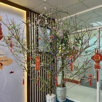 Công ty cổ phần DHT 4