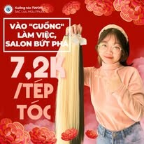 The World of Hair 13