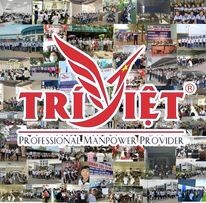 NHÂN LỰC TRÍ VIỆT 6