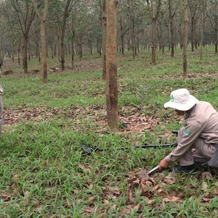 Norwegian People’S Aid (NPA) 10