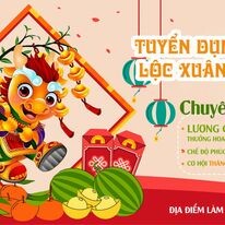 VIỆT TÍN HOLDING 9