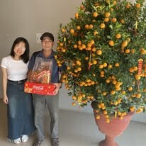 Freetex Group Việt Nam 6