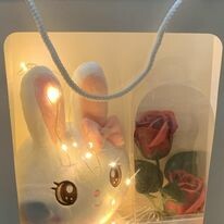 Richair Việt Nam 6