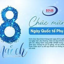 HSB Japan Việt Nam 6