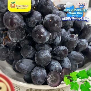 Fruit Shop Retail 10