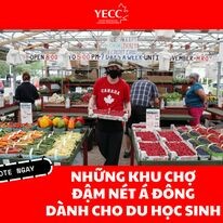 Kết Nối Giáo Dục Trẻ Canada - YECC 2