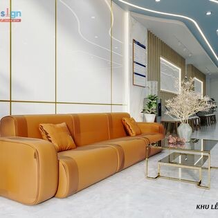 Vật tư y tế DTH 3