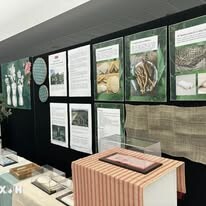 An Phước - Viramie 12