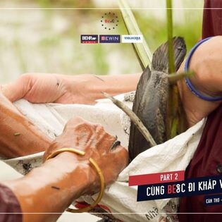 Bewin & Coating Vietnam 2