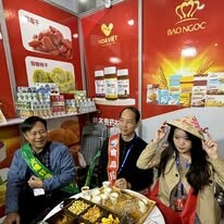 Dược phẩm Hoa Việt 4