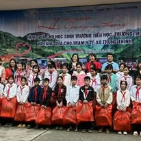 Dược phẩm Hoa Việt 11