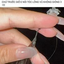 Richair Việt Nam 10