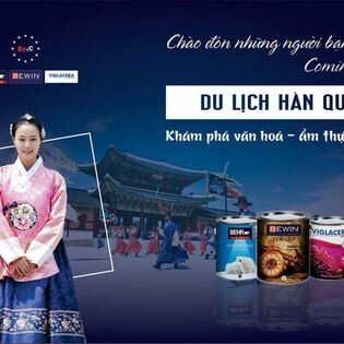 Bewin & Coating Vietnam 4