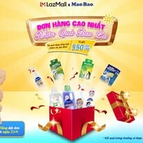 Mao Bảo Việt Nam 7