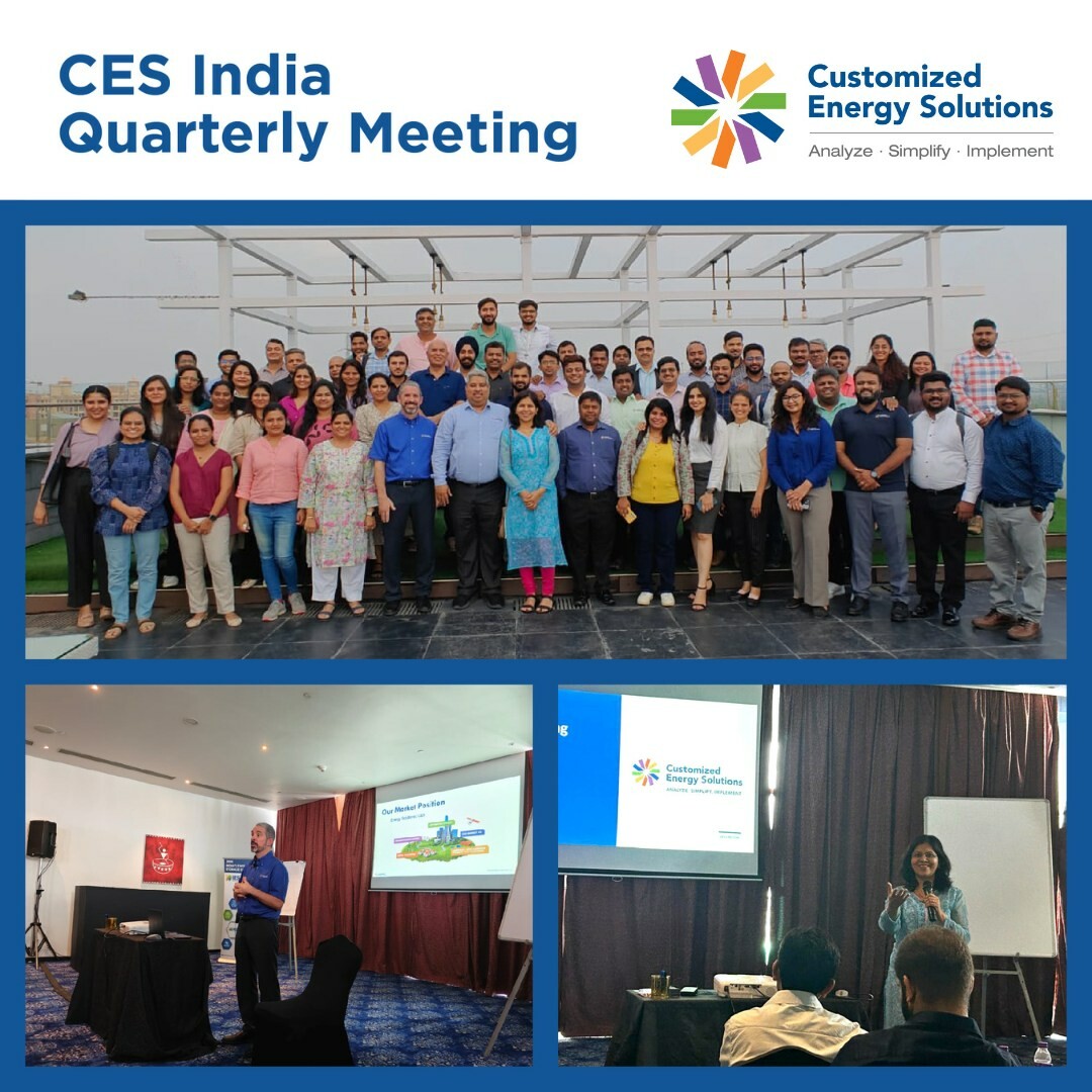 Customized Energy Solutions 4