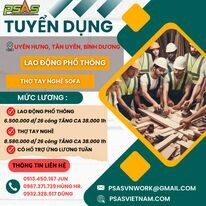 Giải pháp nhân lực PSAS Việt Nam 5