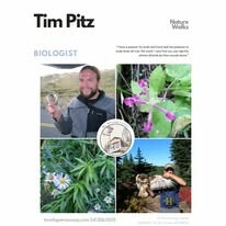 Missing Corner Inc. 4