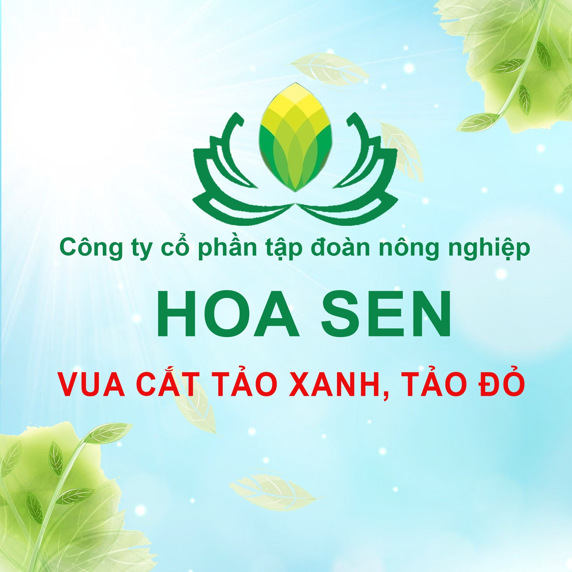 Tập Đoàn Nông Nghiệp Hoa Sen 2